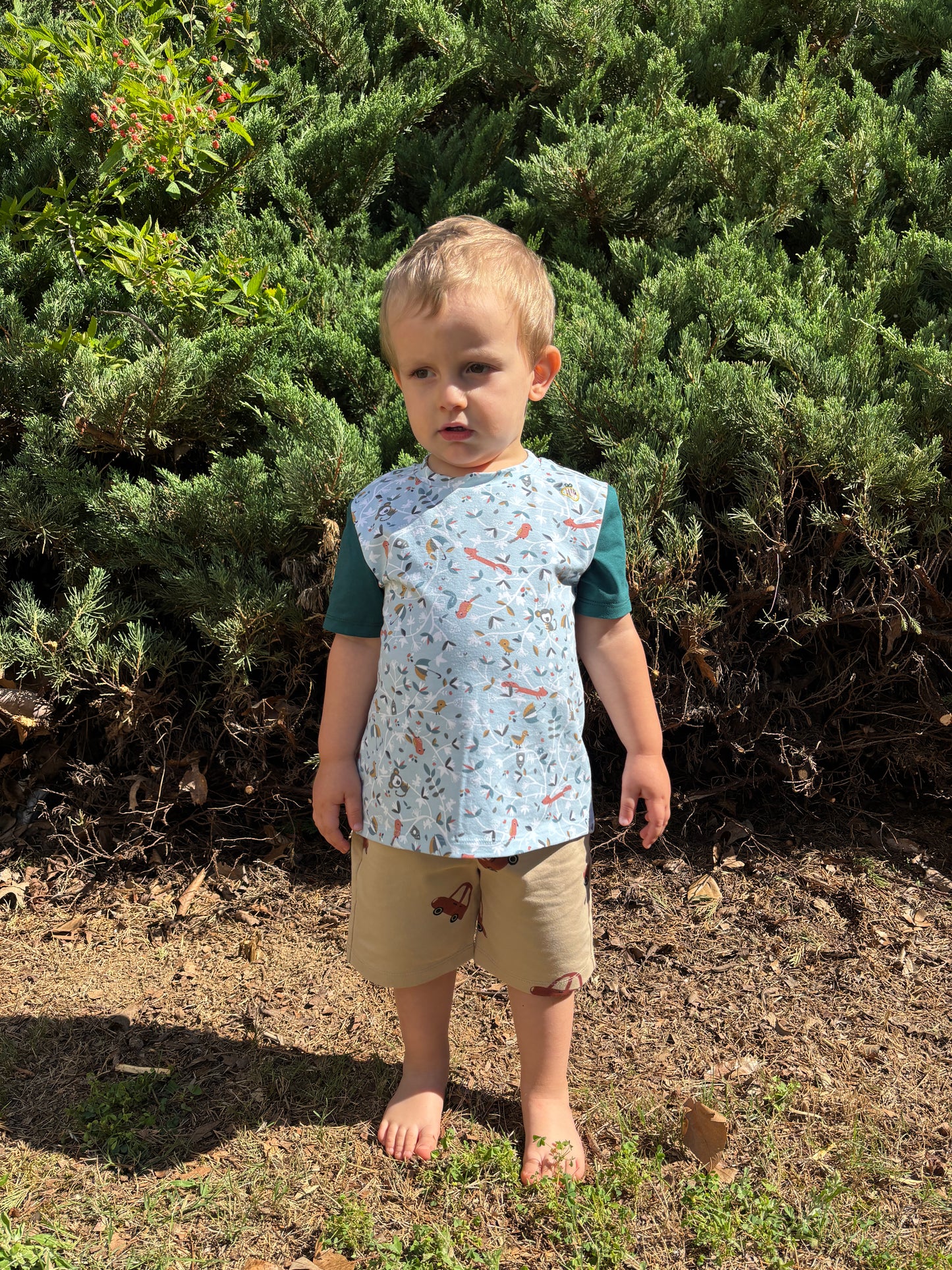 Pantalone corto in cotone biologico – Fantasia Macchinine