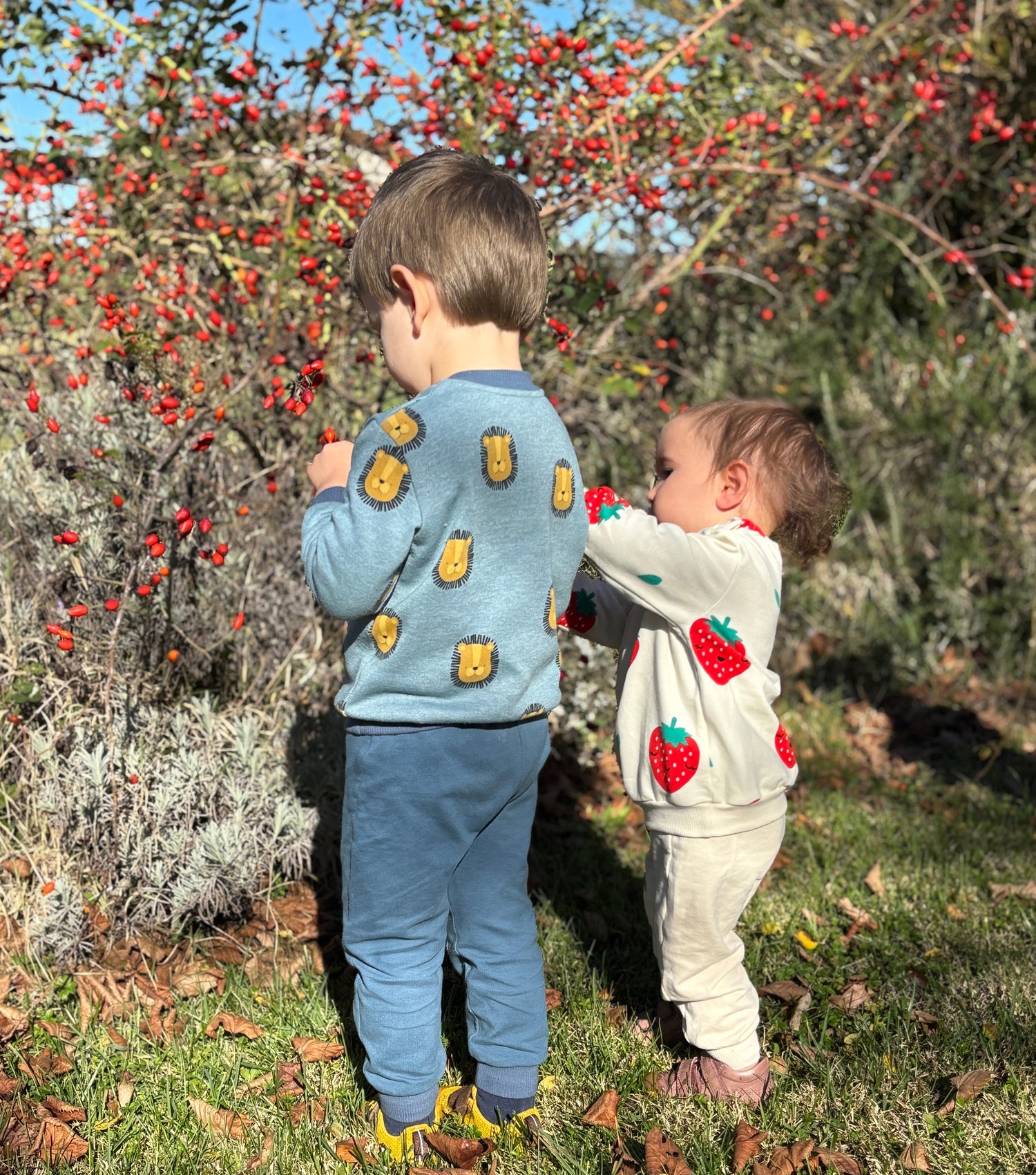 Scoperte d’autunno, abbracci d’inverno