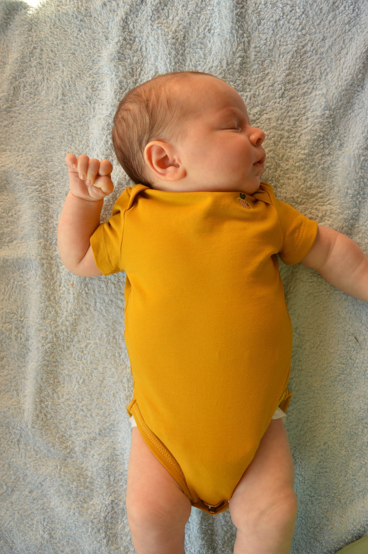 Body a manica corta in cotone biologico - Senape