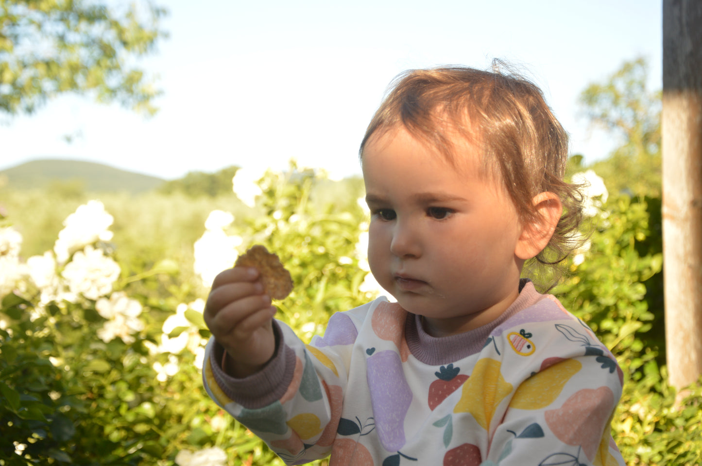 Felpa leggera in cotone biologico – Bianca con fantasia Frutta